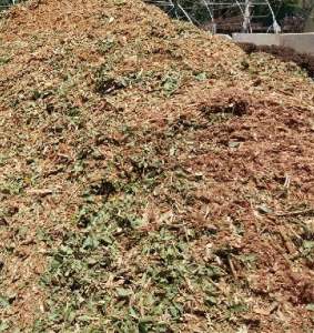 mulch pile